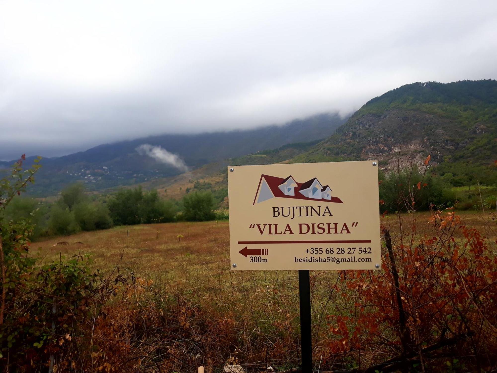 Vila Disha Tirana Værelse billede