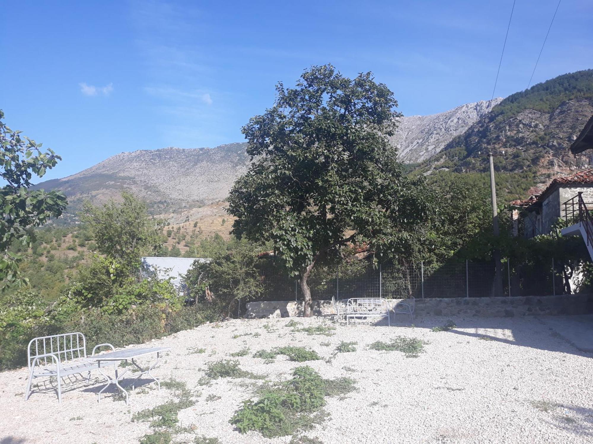 Vila Disha Tirana Værelse billede